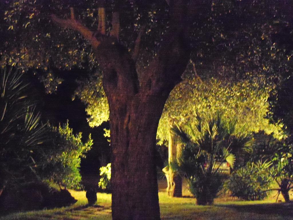 Gli Ulivi Apartment Alghero Cameră foto